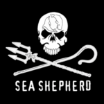О Обществе охраны морских пастухов