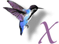 Algorytm Hummingbird został opracowany, aby pomóc Google lepiej zrozumieć   zamiar poszukiwacza