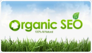 Jako prawdziwe źródło wysokiej ekspozycji reklamowej, organiczne usługi SEO promują bardziej wiarygodną obecność w sieci i przyciągają odpowiednich klientów do Twojej witryny