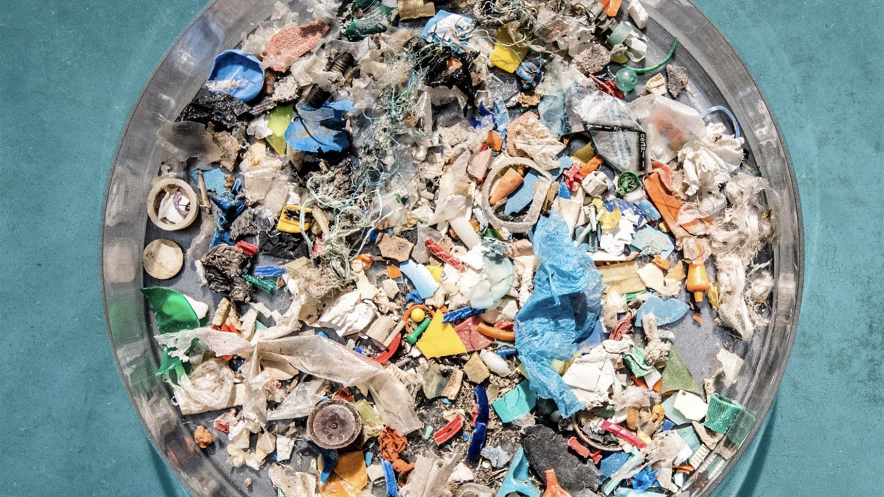 Наш океан и множество видов, которые называют его домом, поддаются яду пластика
